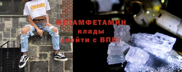 прущие грибы Янаул